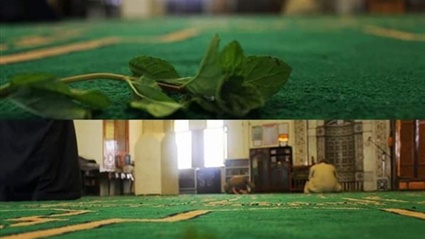 أبرار.. حكاية بنت