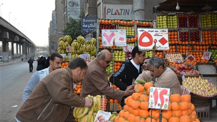 محافظ الجيزة يقود