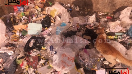 مفيش فايدة.. الإهمال
