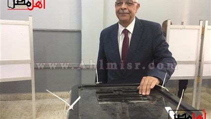 نائب رئيس جامعة المنوفية