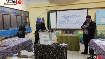 لجان استفتاء دستور