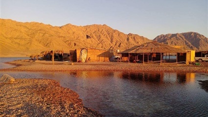 طيور نادرة وكهوف