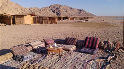 طيور نادرة وكهوف