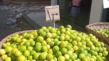 بدائل الليمون