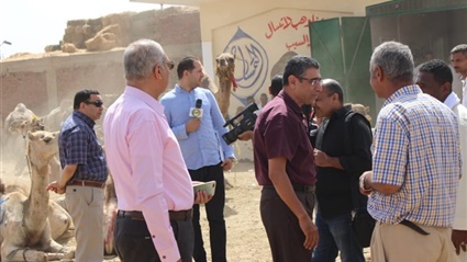 الزراعة تتابع سوق