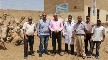 الزراعة تتابع سوق