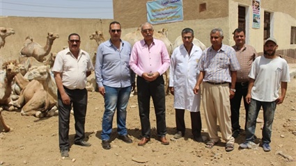 الزراعة تتابع سوق