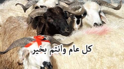 أجدد صور عيد الأضحي