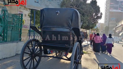 الجوز الخيل والعربية..