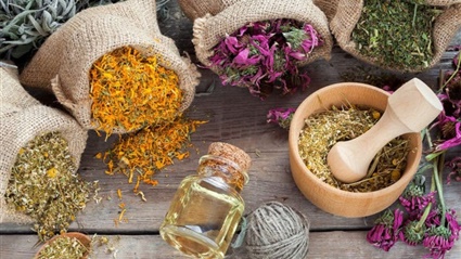 تعرف على الأعشاب