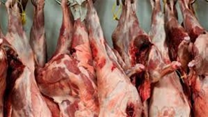 فعاليات متنوعة لمختلف