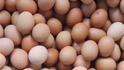 تحديات قاتلة.. أكل