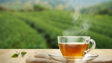 8 أعشاب طبيعية للتخلص