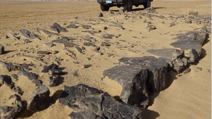 عمره 4 آلاف عام..