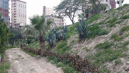 كوم الناضورة الأثرية